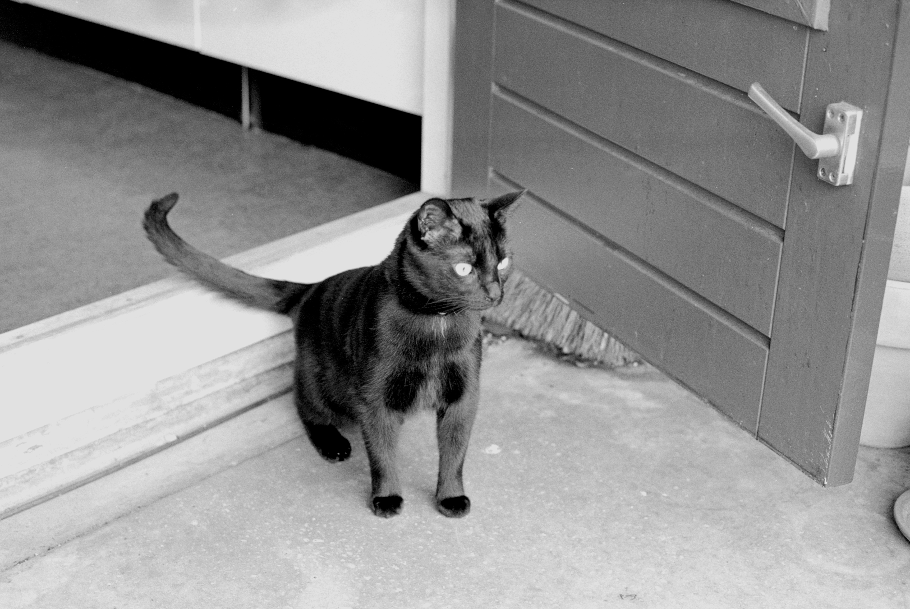 Simon_Van_Steenis Image 4